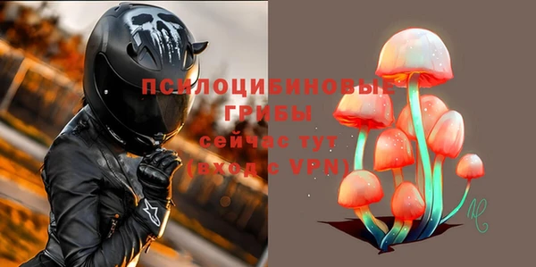 ешки Алексин