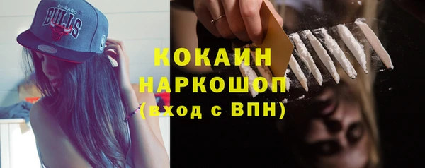 ешки Алексин