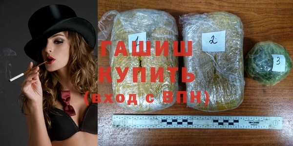 гидра Няндома