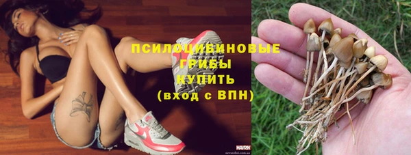 ешки Абинск