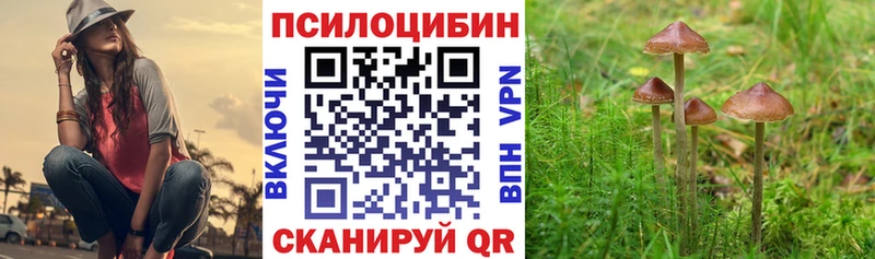 Галлюциногенные грибы ЛСД где можно купить kraken как зайти Черноголовка