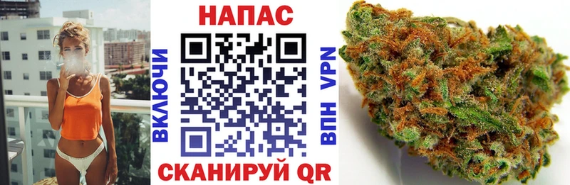Канабис OG Kush  Черноголовка 